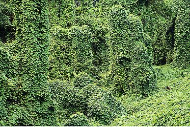 《Mirror 2：Project X》彩云篇预告公开 6月23日正式上线